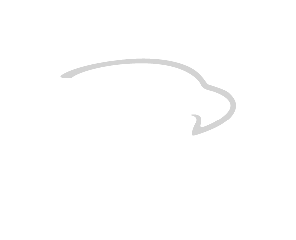 verette construction logo